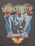 Official Aerosmith rock band grey T-shirt featuring a colorful retro front graphic with a band portrait layered over a blue triangle layout.
