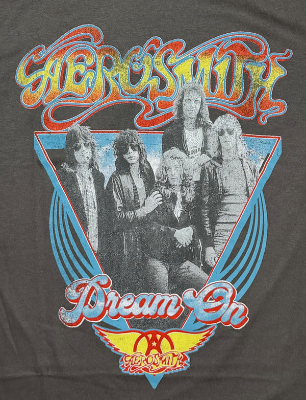 Aerosmith Official 'Dream On' Triangle Graphic Tee - Grey