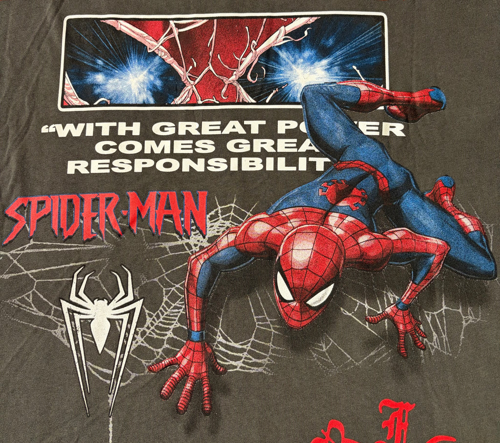 Close-up of a Spider-Man graphic print on a dark brown or charcoal T-shirt. The print features Spider-Man in his classic red and blue suit crawling over white spiderwebs, with the text 'WITH GREAT POWER COMES GREAT RESPONSIBILITY' and 'SPIDER-MAN' in red.