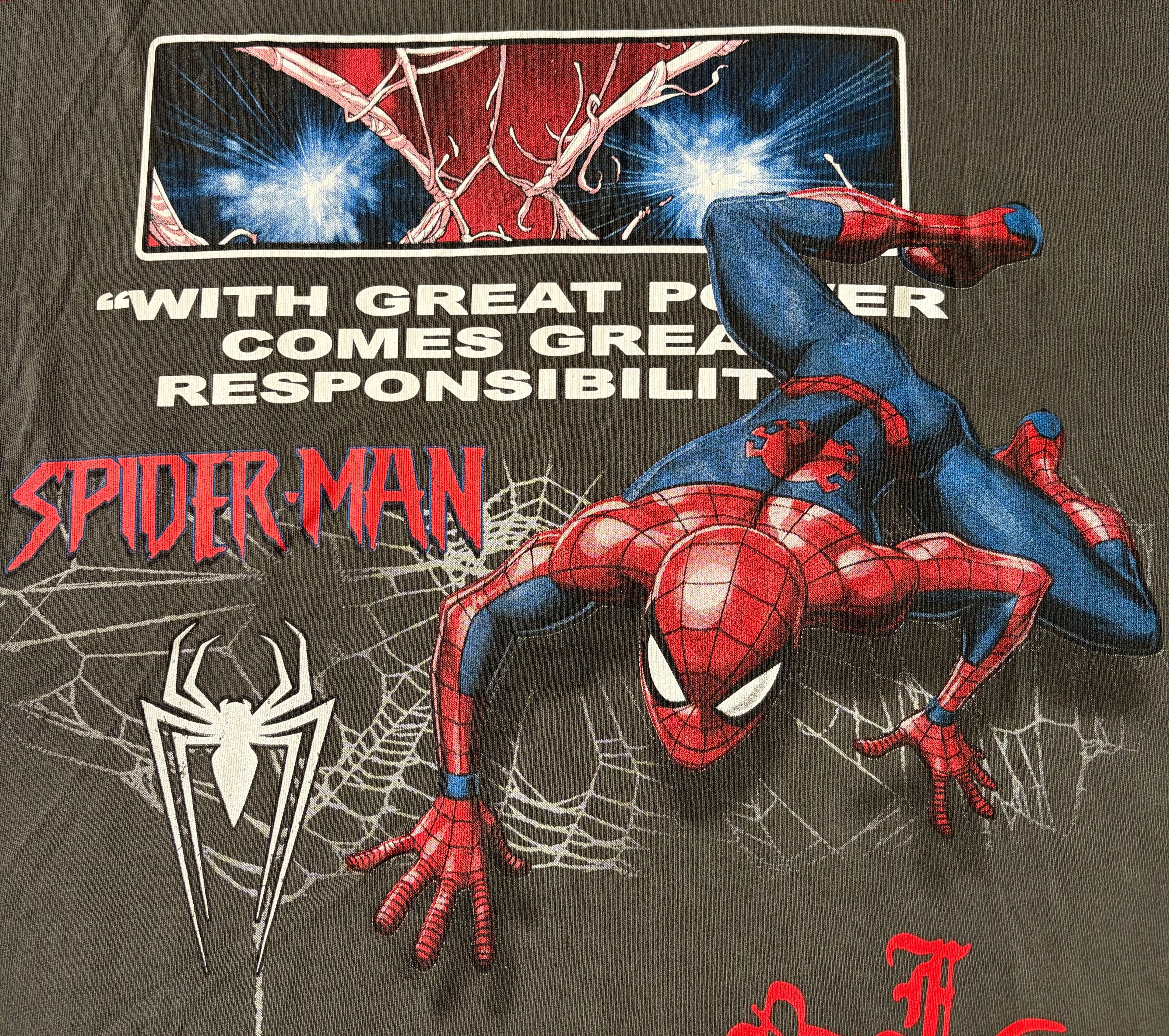 Close-up of a Spider-Man graphic print on a dark brown or charcoal T-shirt. The print features Spider-Man in his classic red and blue suit crawling over white spiderwebs, with the text 'WITH GREAT POWER COMES GREAT RESPONSIBILITY' and 'SPIDER-MAN' in red.